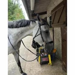 Hackamore Dyon