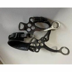Hackamore horze