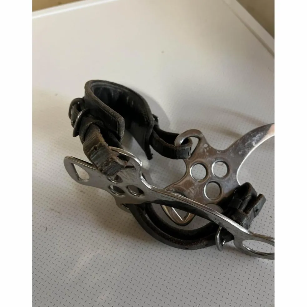 Hackamore horze