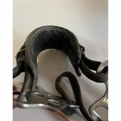 Hackamore horze