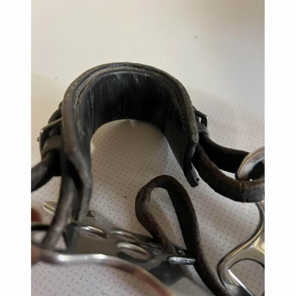 Hackamore horze