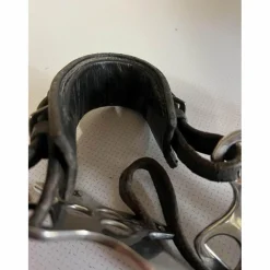 Hackamore horze