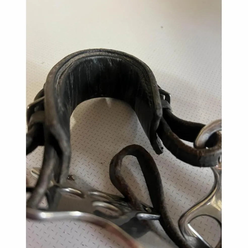 Hackamore horze