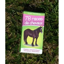 JEU DE CARTES SUR LES ROBES