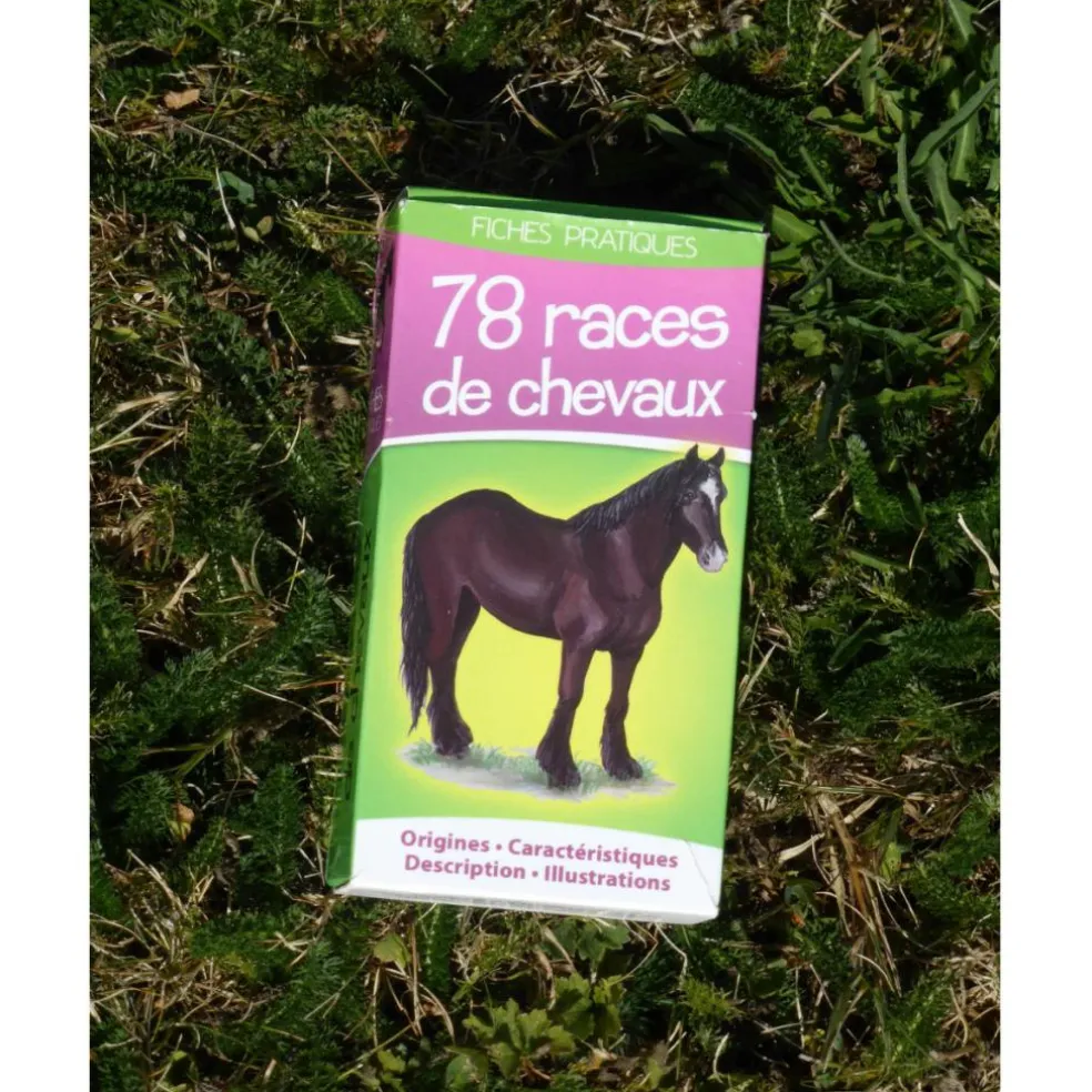 JEU DE CARTES SUR LES ROBES