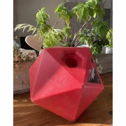 jouets pour cheval avec bonbons