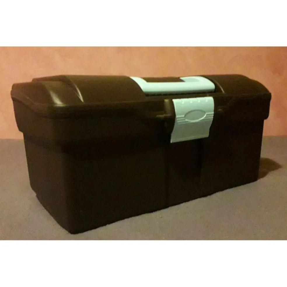 Kit de pansage rouge pour enfant (+ mallette)
