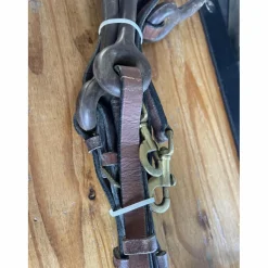 Élastique cheval