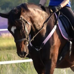 Élastiques pour collier de chasse rose pâle