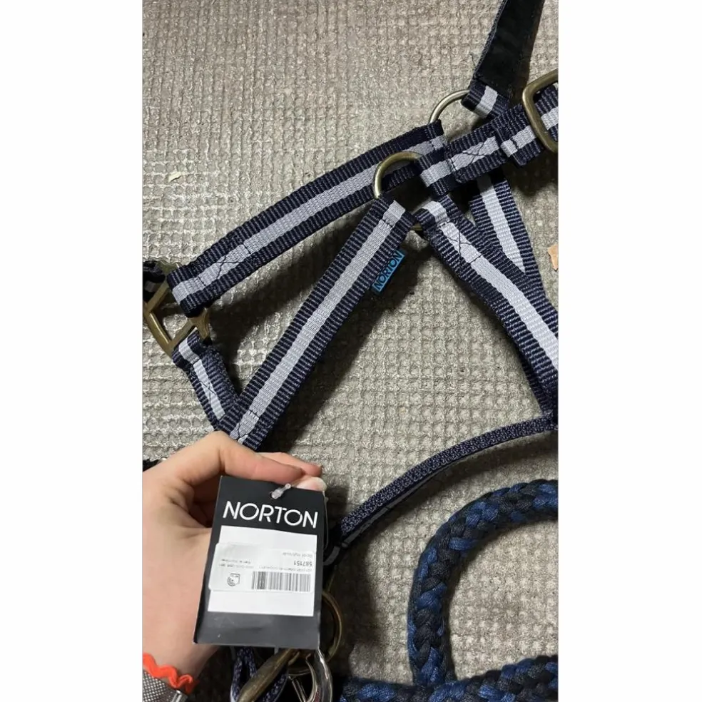 Licol + longe Bleu Norton