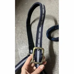 Licol + longe Bleu Norton