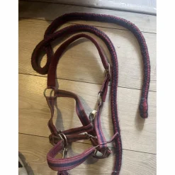licol + longe bordeaux poney