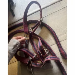 licol + longe bordeaux poney