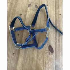 licol à point bleu horse pilot