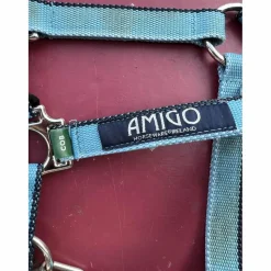 Licol Amigo COB