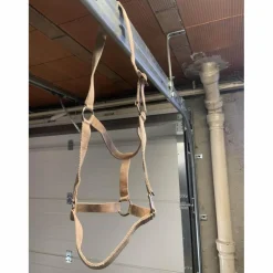 licol beige