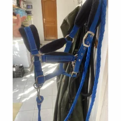 Licol Bleu
