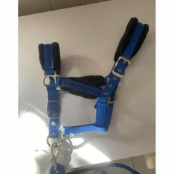 Licol Bleu