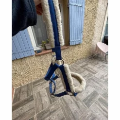 licol bleu