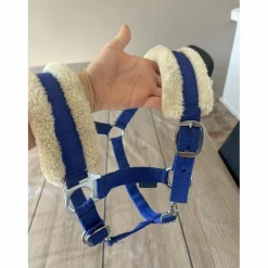 Licol bleu
