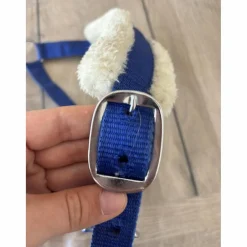 Licol bleu