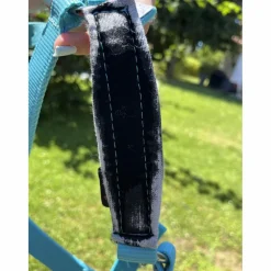 licol bleu