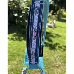 licol bleu