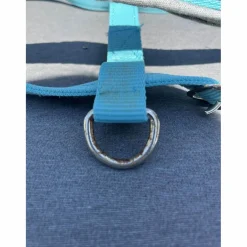 licol bleu