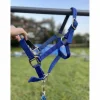 Licol bleu