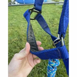 Licol bleu