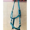 licol bleu fouganza
