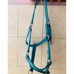licol bleu fouganza