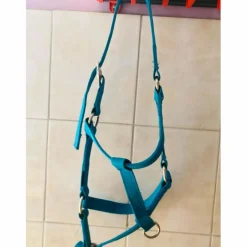 licol bleu fouganza