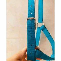 licol bleu fouganza