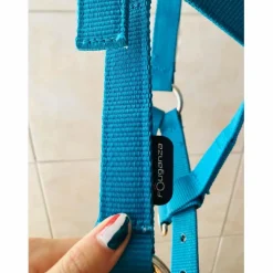 licol bleu fouganza