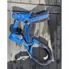 Licol bleu électrique