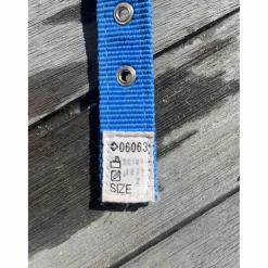 Licol bleu électrique