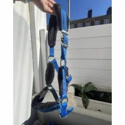 Licol bleu électrique