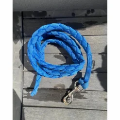 Licol bleu électrique