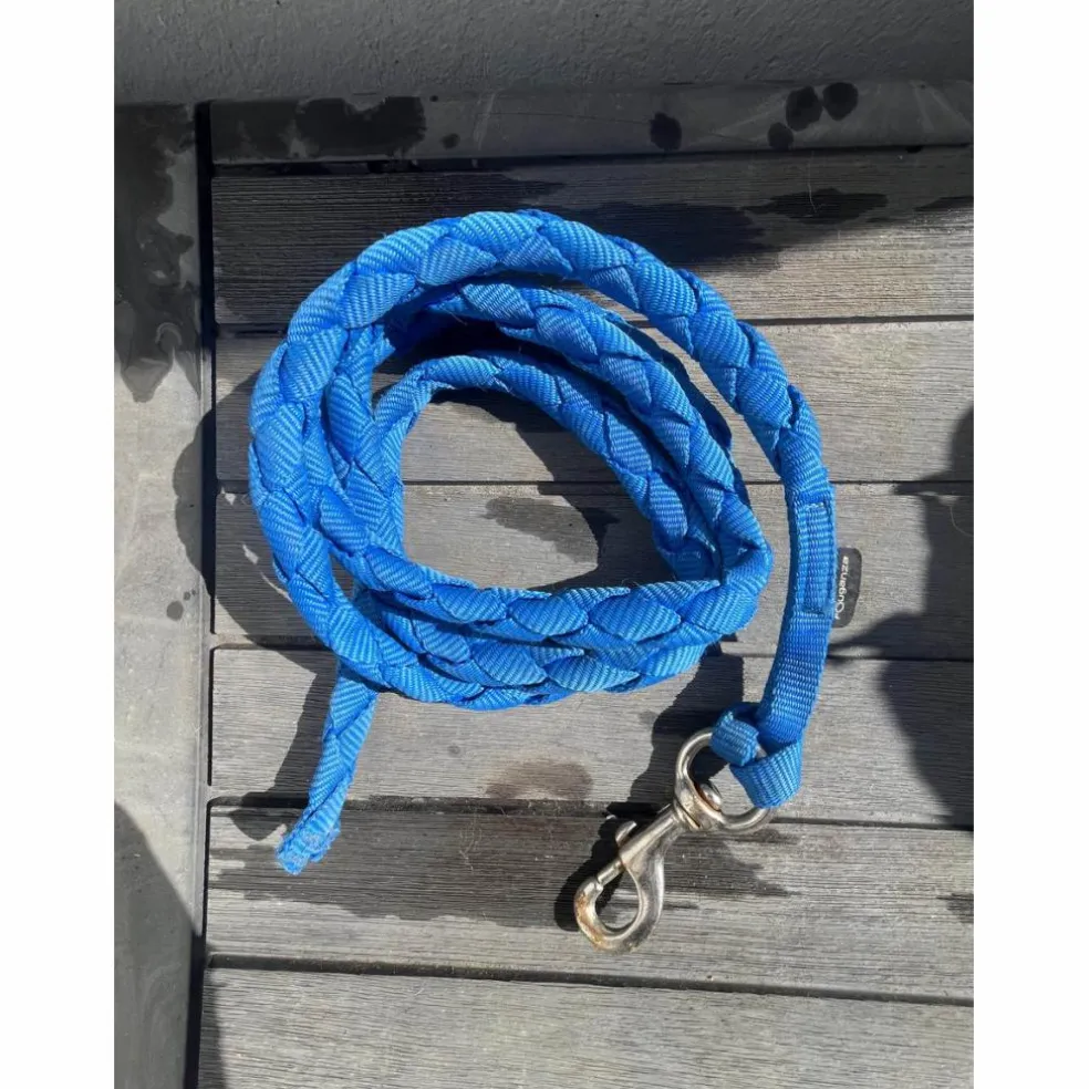 Licol bleu électrique