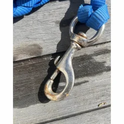 Licol bleu électrique