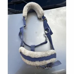 Licol bleu poney