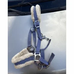 Licol bleu poney