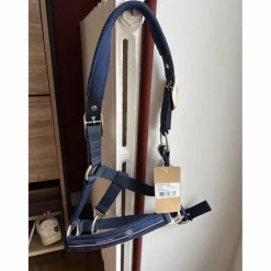 licol bleu poney