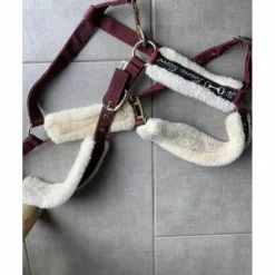 Licol bordeaux Lauria Garrelli