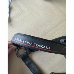 licol cavalleria toscana