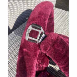 Licol cob