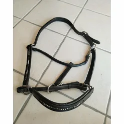 Licol cuir