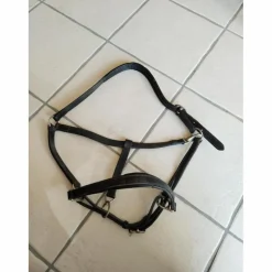 Licol cuir