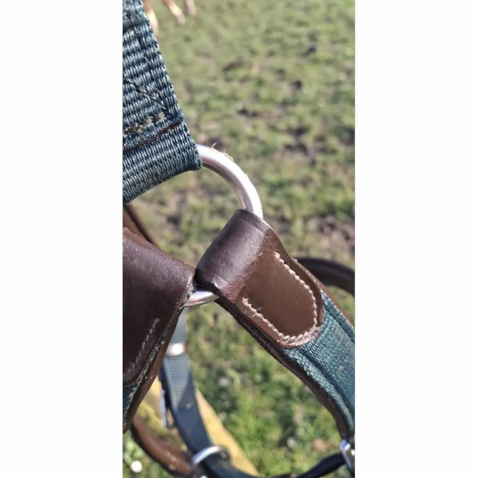 Licol Cuir / Nylon